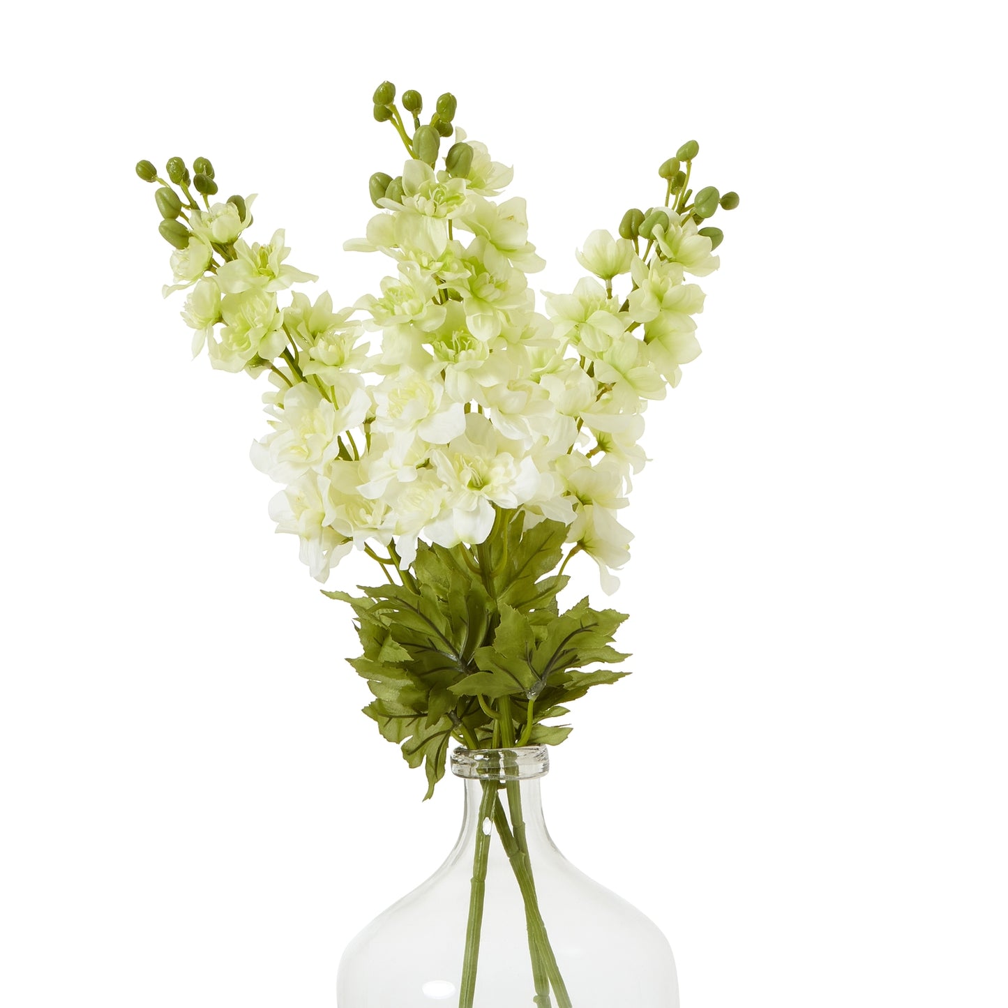 The Natural Garden Collection White Elatum Delphinium