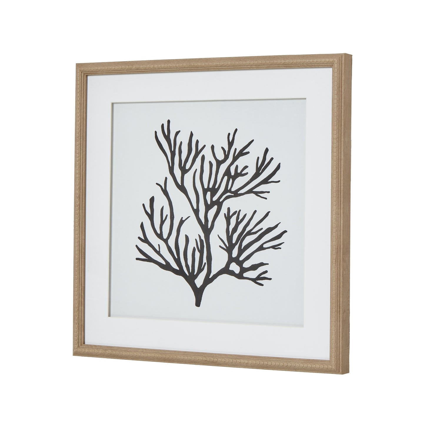 Reef Coral Art Mounted In Beaded Frame