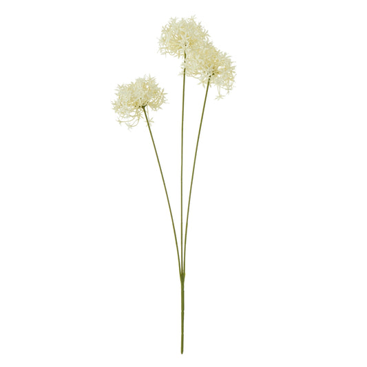 Three Head Cream Allium Spray