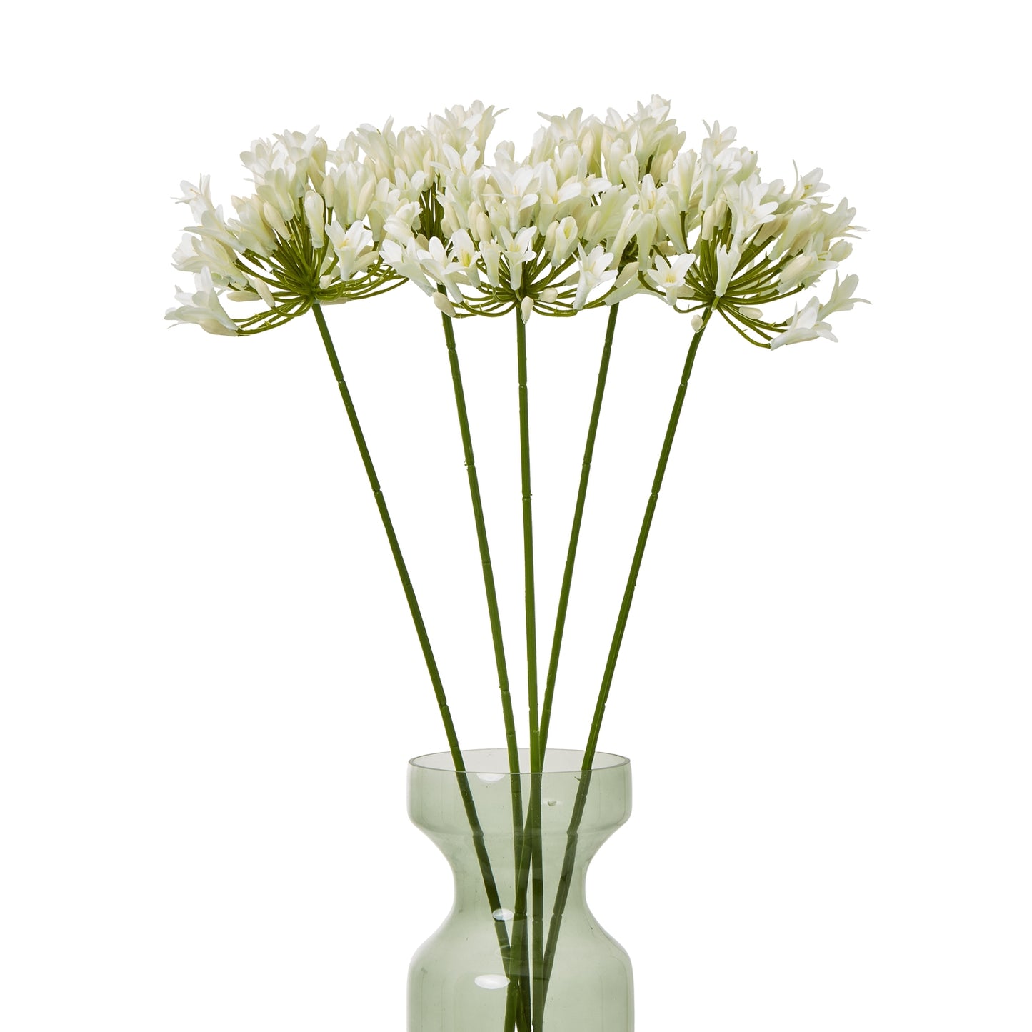 Cream Agapanthus Spray