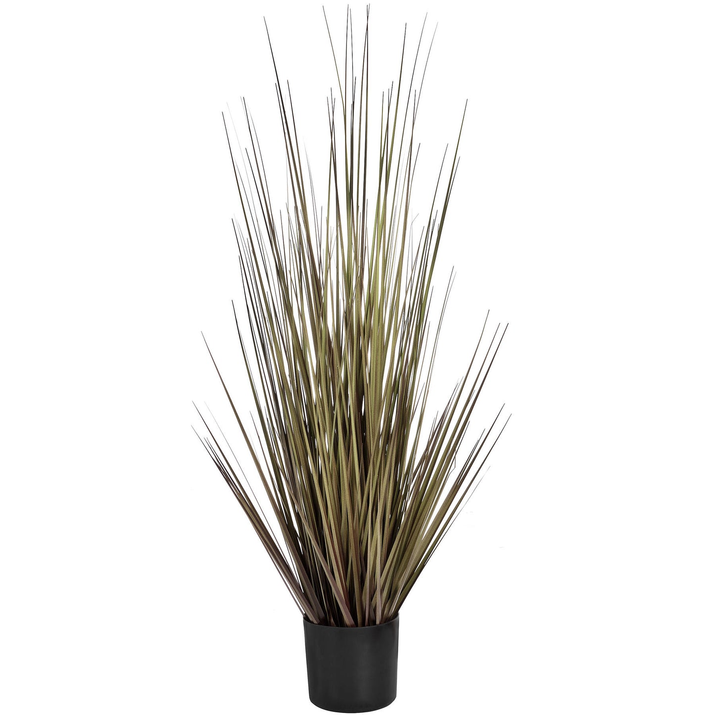 Spray Grass 36 Inch