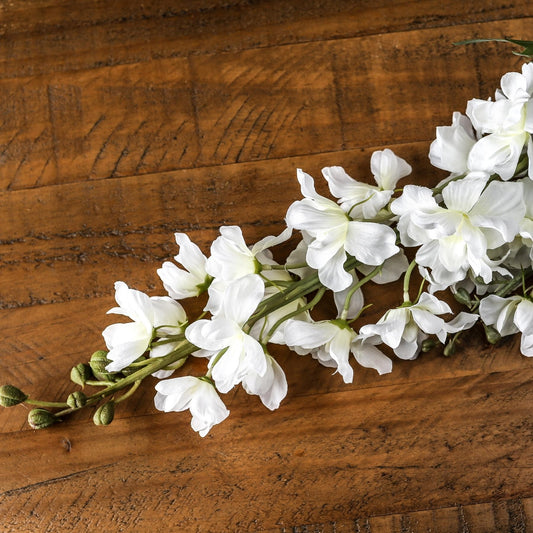 Tall White Delphinium Stem